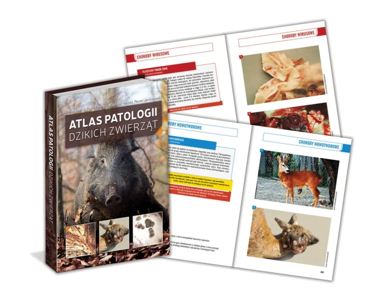 choroby dzikich zwierząt atlas patologii