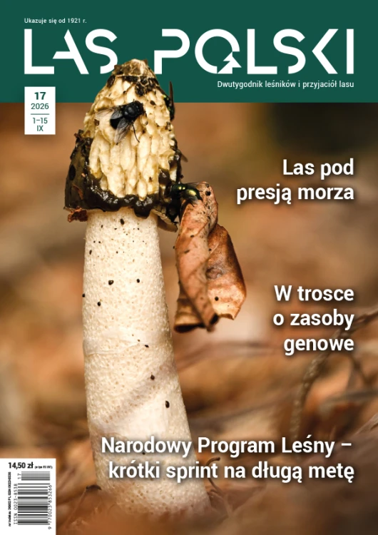 Las Polski nr 17/2026 – okładka czasopisma dla leśników