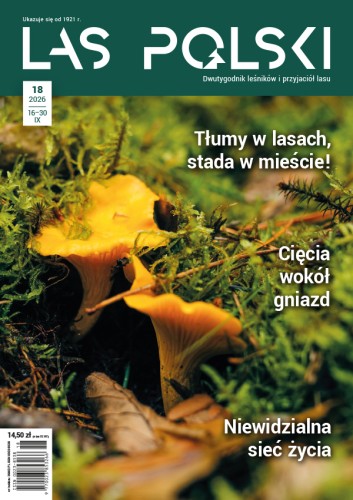 Las Polski nr 18/2026 – okładka czasopisma dla leśników