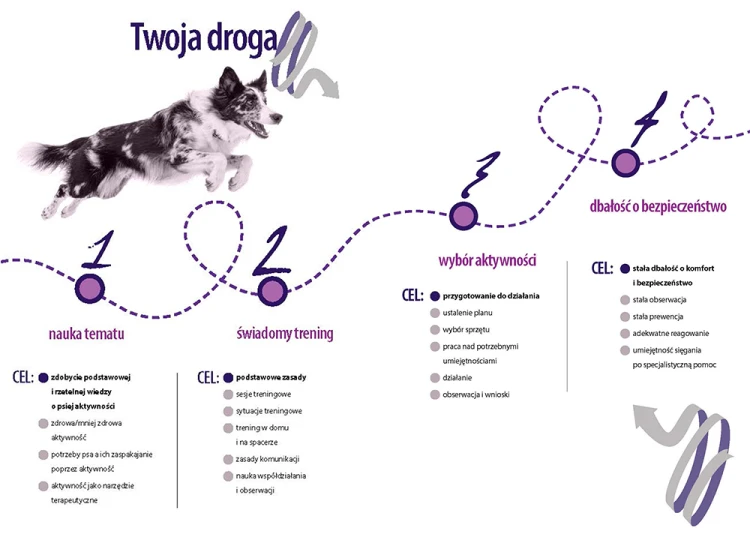 Aktywnie z psem – planowanie treningu i wybór bezpiecznych aktywności dla psa