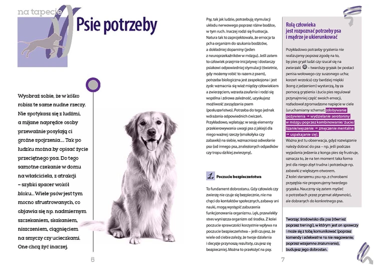 Aktywnie z psem – rozpoznawanie potrzeb psa i nauka przez wspólne ćwiczenia