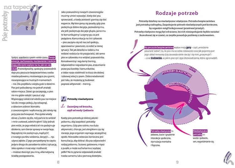 Aktywnie z psem – potrzeby psa i poczucie bezpieczeństwa w codziennym treningu
