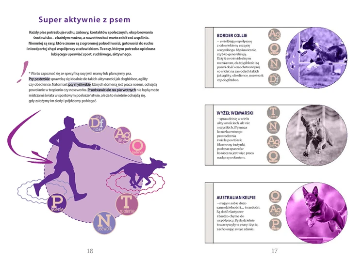 Aktywnie z psem – sporty kynologiczne i dobór aktywności do predyspozycji rasy