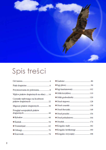 Ptaki drapieżne Europy spis treści książki o orłach sępach i krogulcach