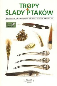 Tropy i ślady ptaków