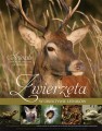 Zwięrzęta w obiektywie leśników