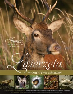 Zwięrzęta w obiektywie leśników