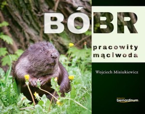 Bóbr pracowity mąciwoda - Wojciech Misiukiewicz