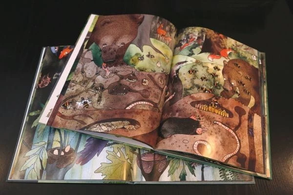 Życie lasu Katarzyna Bajerowicz – kolorowe ilustracje zwierząt leśnych dla dzieci