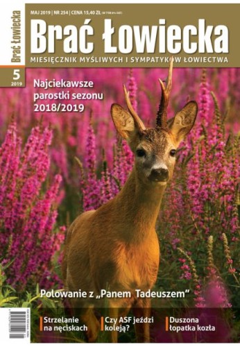 bł 5.jpg