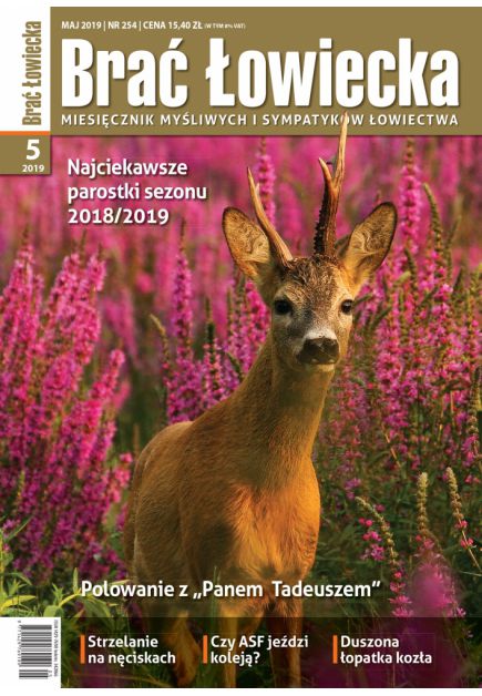 bł 5.jpg