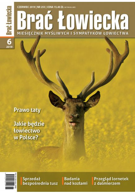 bł 6.jpg