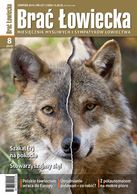 okładka_8-2019.jpg