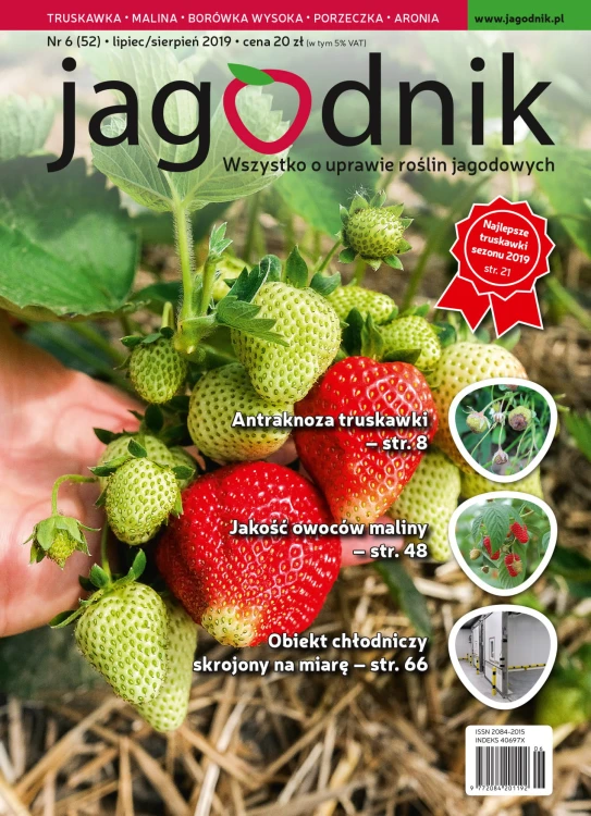 JK 06_2019 okładka.jpg