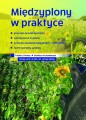 Międzyplony w praktyce - Frédéric Thomas, Matthieu Archambeaud