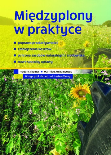 Międzyplony w praktyce - Frédéric Thomas, Matthieu Archambeaud
