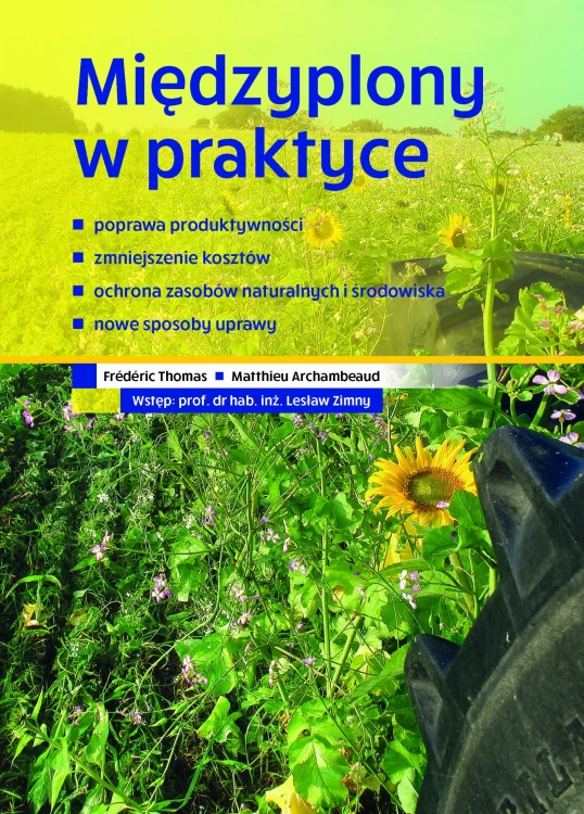 Międzyplony w praktyce - Frédéric Thomas, Matthieu Archambeaud
