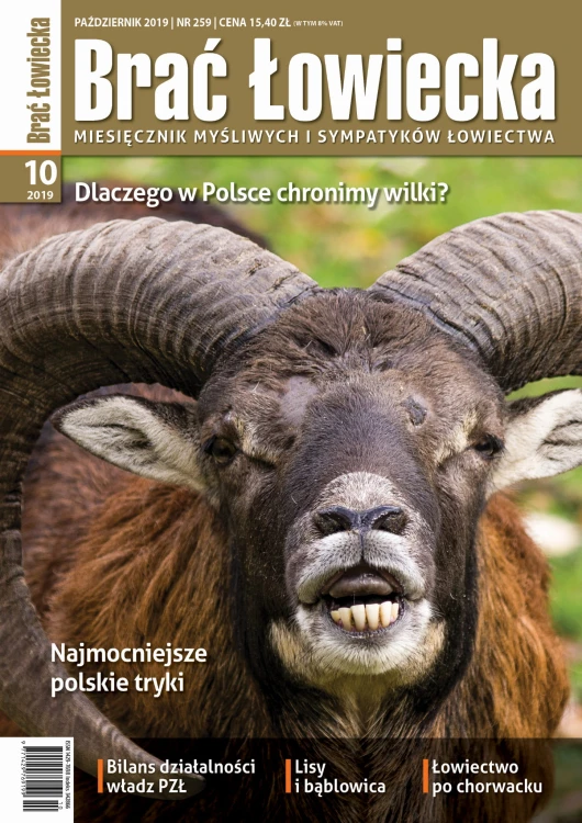 okl_10-2019.jpg