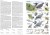 Atlas ptaków Europy z ponad 4000 ilustracji i opisami gatunków