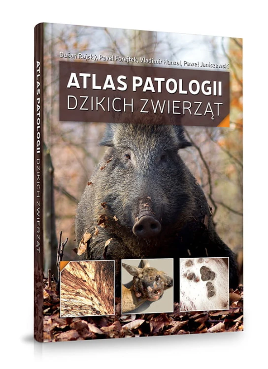 Atlas Patologii Dzikich Zwierząt książka weterynaryjna