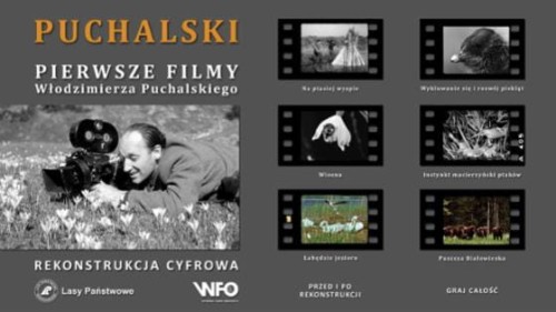 Pierwsze filmy Włodzimierza Puchalskiego – wydanie z 64-stronicową książką i DVD