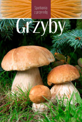 Grzyby Spotkania z przyrodą Marek Snowarski – okładka książki