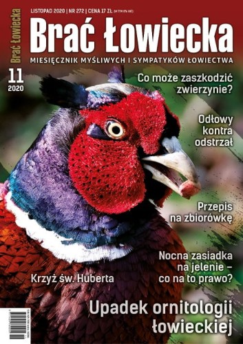 BŁ 11_2020 okładka.jpg