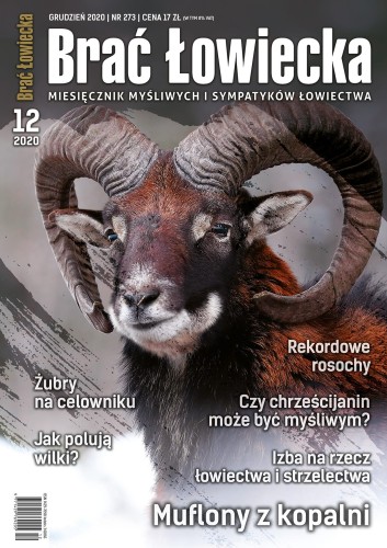 okładka 12_2020 net.jpg