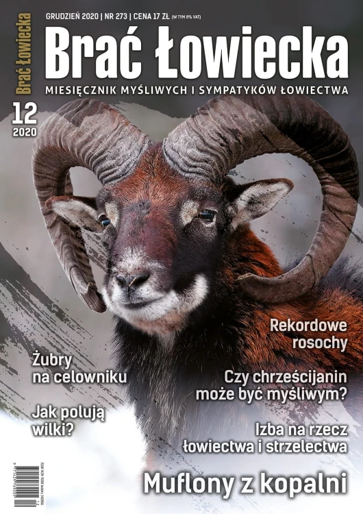 okładka 12_2020 net.jpg