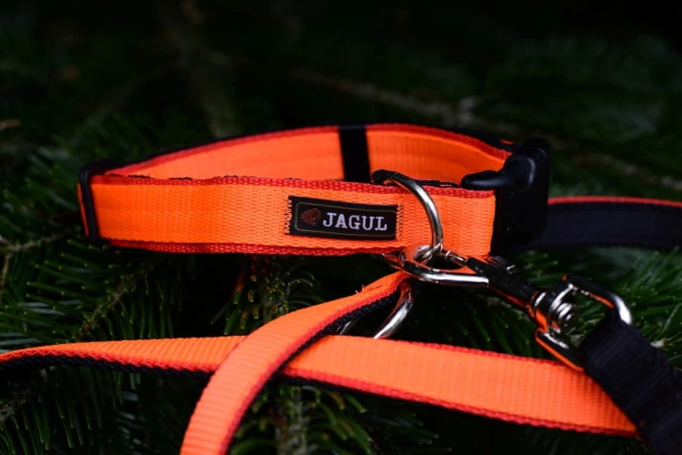 Mocna obroża dla psa myśliwskiego Jagul Myśliwiec