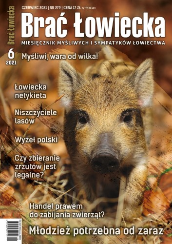 okładka BŁ 6_2021 (279) RGB.jpg