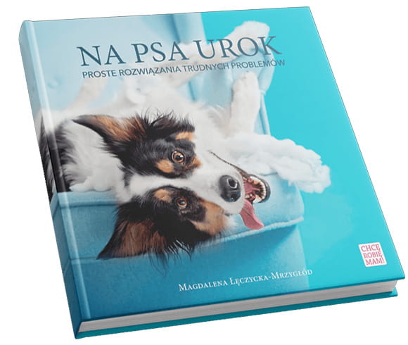 Na psa urok Proste rozwiązania trudnych problemów Magdalena Łęczycka-Mrzygłód poradnik o psach