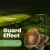 FB_post_AgroPixel_[GuardEffect]_1080x1080_V1_DRAFT.jpg