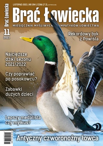 Okładka BŁ 11-2021.jpg