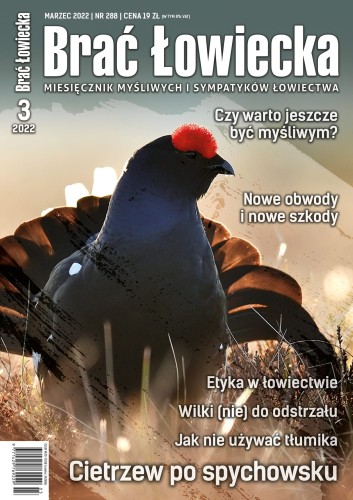 okładka BŁ 3-2022.jpg