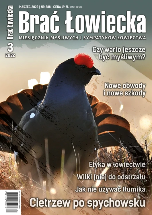 okładka BŁ 3-2022.jpg