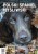 Polski Spaniel Myśliwski Biuletyn 2/2022