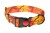 Obroża dla psa 4WILD z taśmy 40 mm w pomarańczowym kamuflażu 39–61 cm
