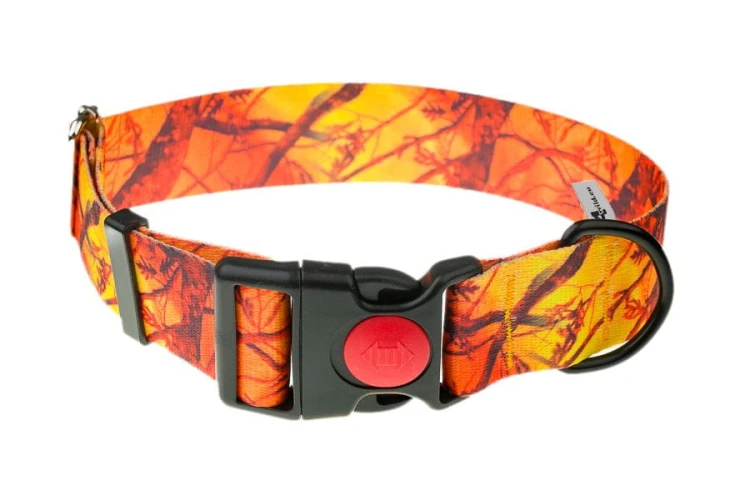 Obroża dla psa 4WILD z taśmy 40 mm w pomarańczowym kamuflażu 39–61 cm