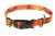 Obroża dla psa 4WILD z taśmy 25 mm w pomarańczowym kamuflażu 37–57 cm