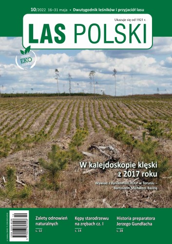 okladka-LP-10.jpg