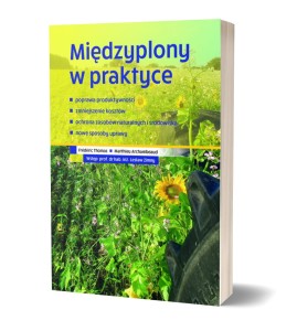 Międzyplony w praktyce - Frédéric Thomas Matthieu Archambeaud