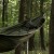 Oliwkowy hamak turystyczny Badger Outdoor Forest podczas odpoczynku w lesie