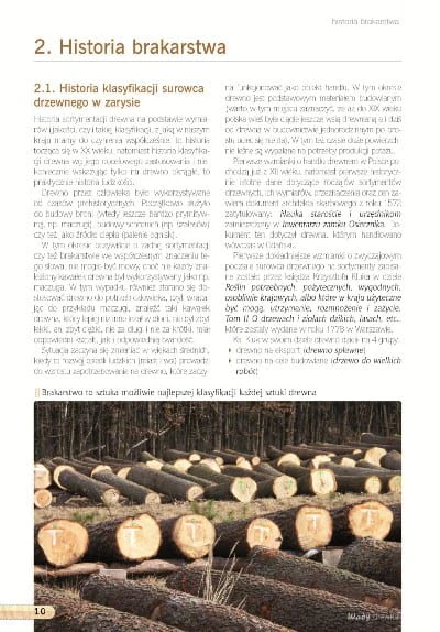 Wady drewna - Robert Kimbar