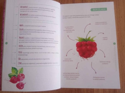 Książka o uprawie malin i zakładaniu plantacji malin