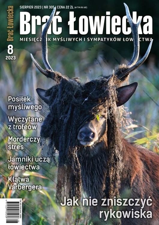 okładka BŁ 8-2023.jpg