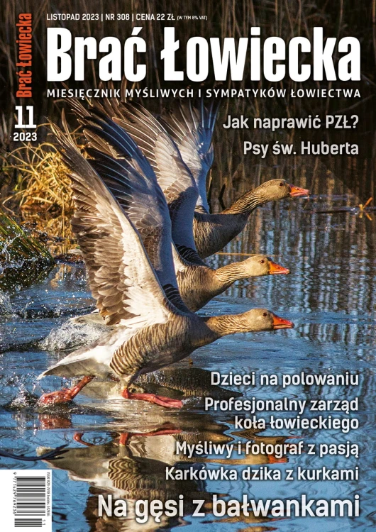 okładka BŁ 11-2023.jpg