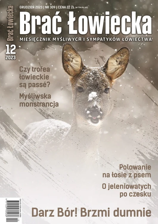 okładka BŁ 12-2023 druk.jpg
