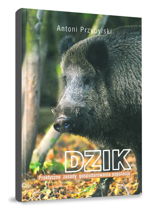 Dzik Praktyczne zasady gospodarowania populacją -  Antoni Przybylski