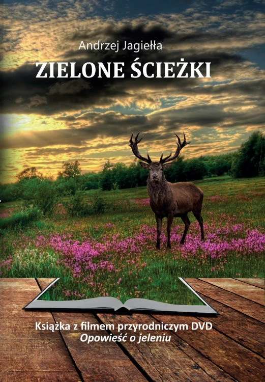 Zielone ścieżki + DVD - Andrzej Jagiełła